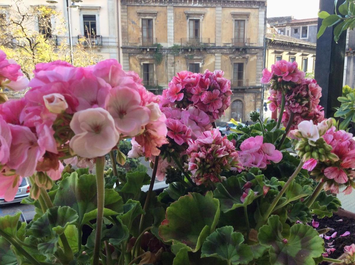 Cesare'S Home Katanya Dış mekan fotoğraf